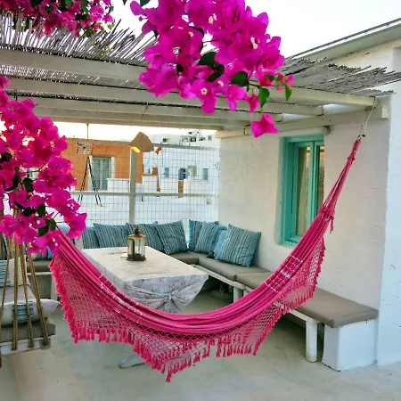 Bougainvillea House