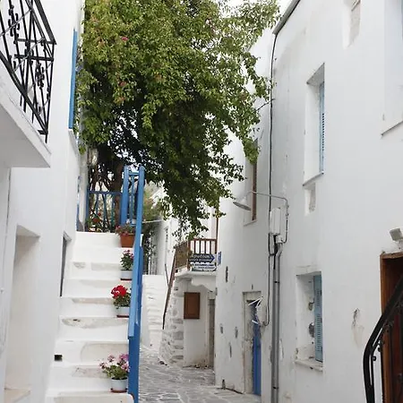 Bougainvillea House